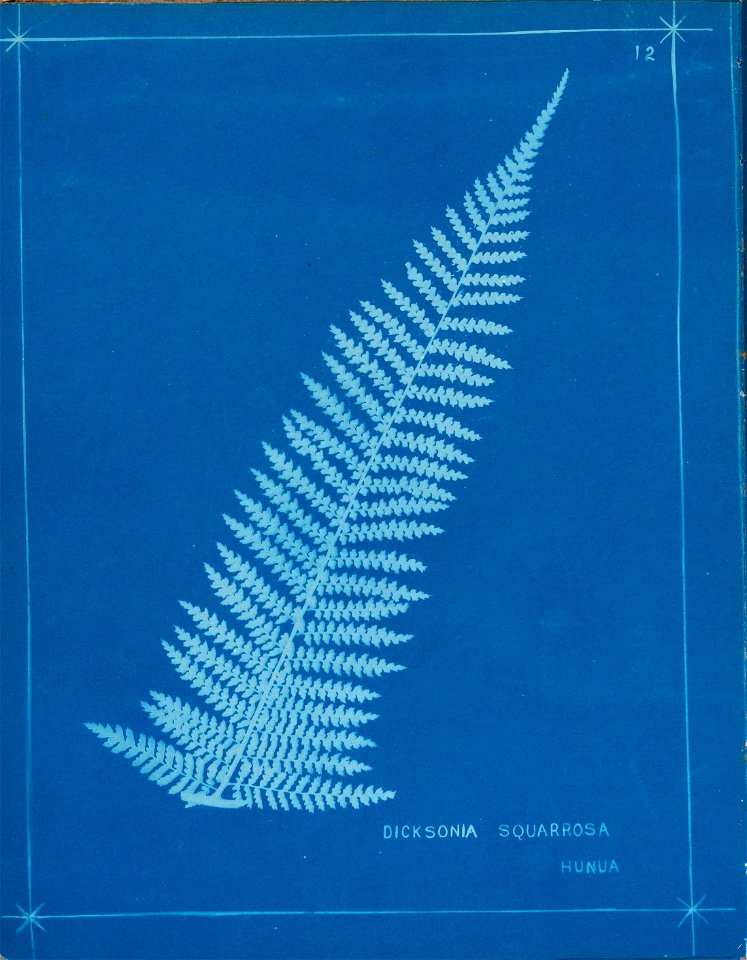 n17_w1150