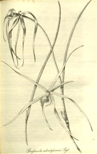n437_w1150