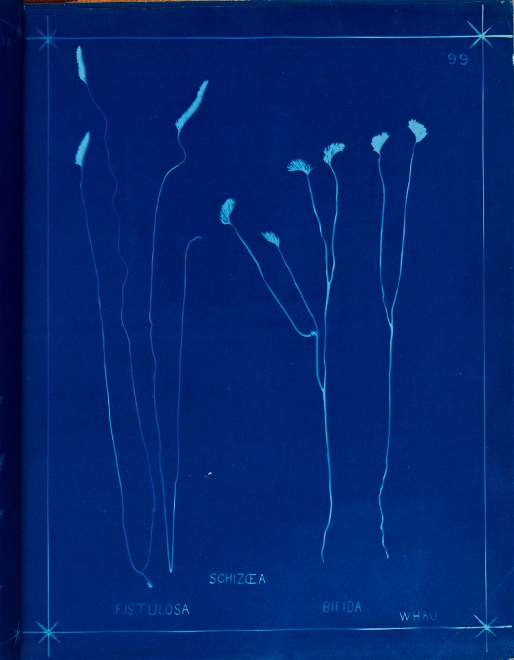 n108_w1150