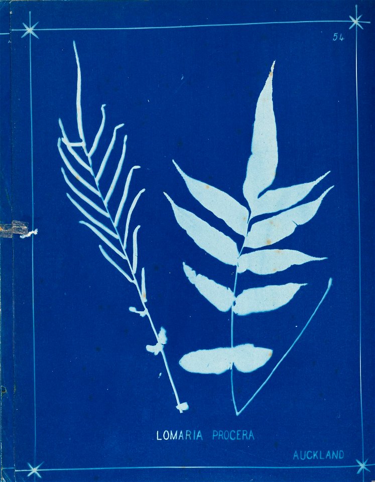 n63_w1150