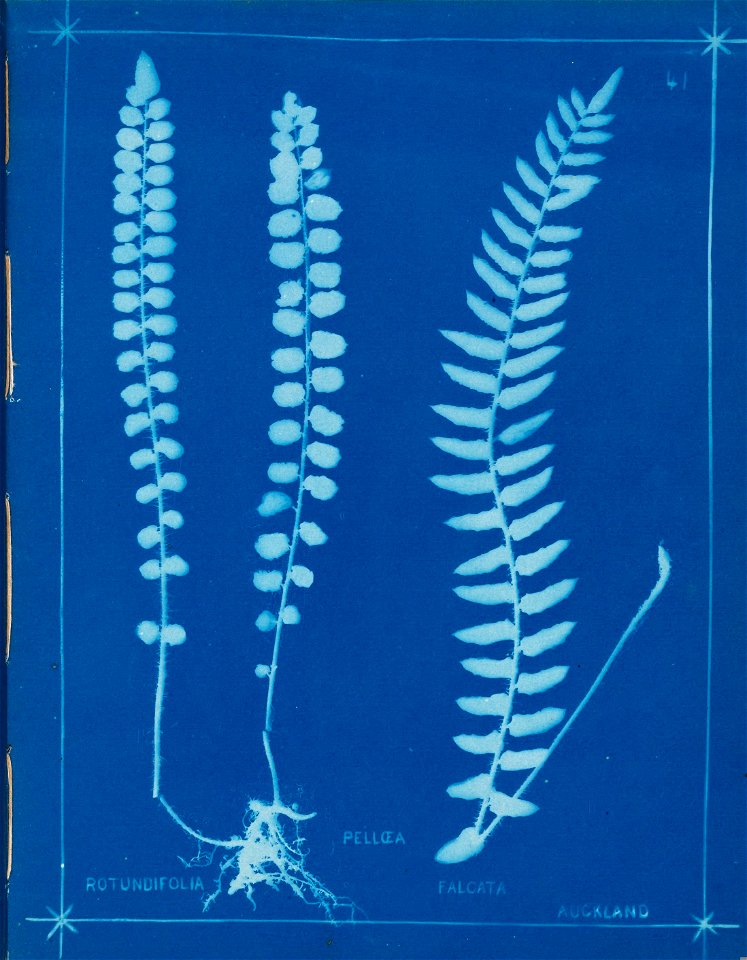 n46_w1150