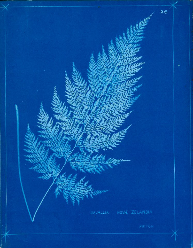 n31_w1150