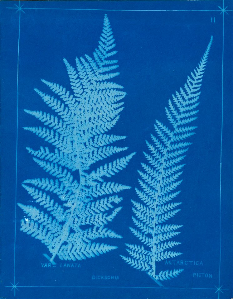 n16_w1150