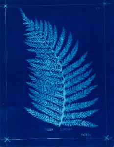 n107_w1150