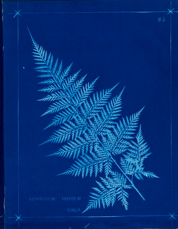 n92_w1150