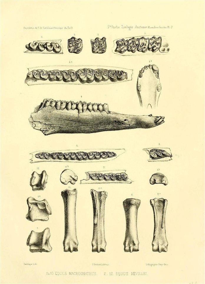 n126_w1150