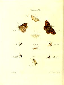 n127_w1150