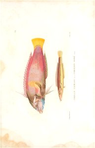 n112_w1150