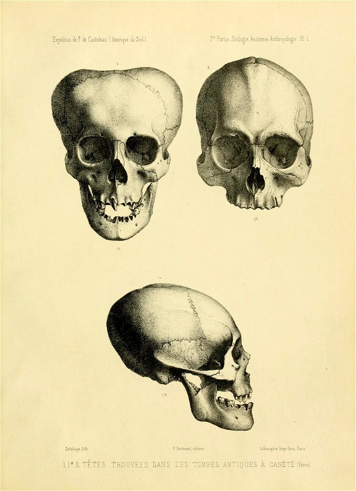 n114_w1150