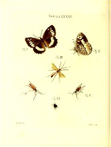 n175_w1150