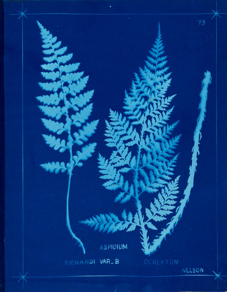 n84_w1150