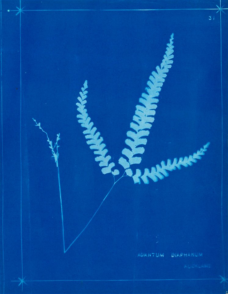 n37_w1150