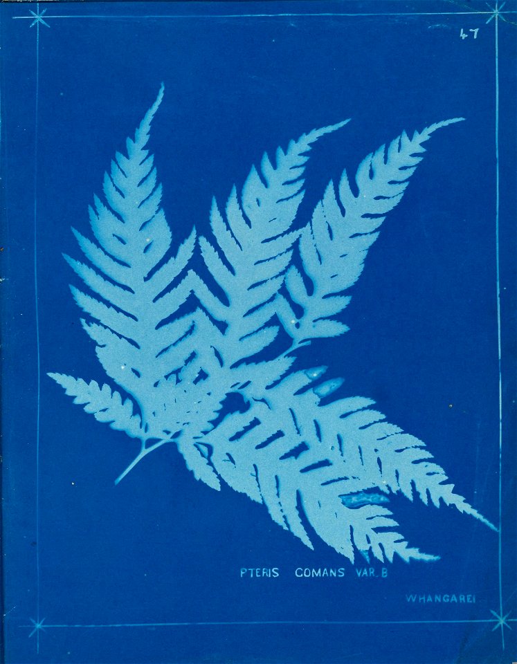 n52_w1150