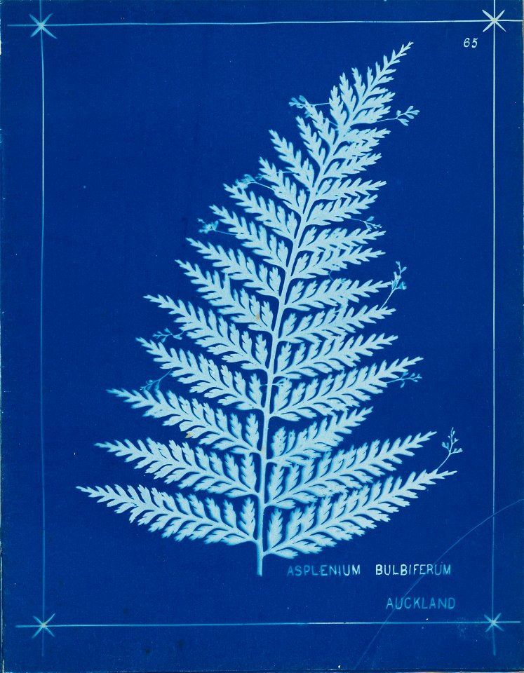 n69_w1150