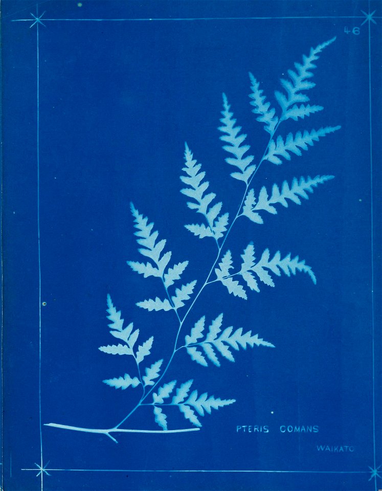 n51_w1150