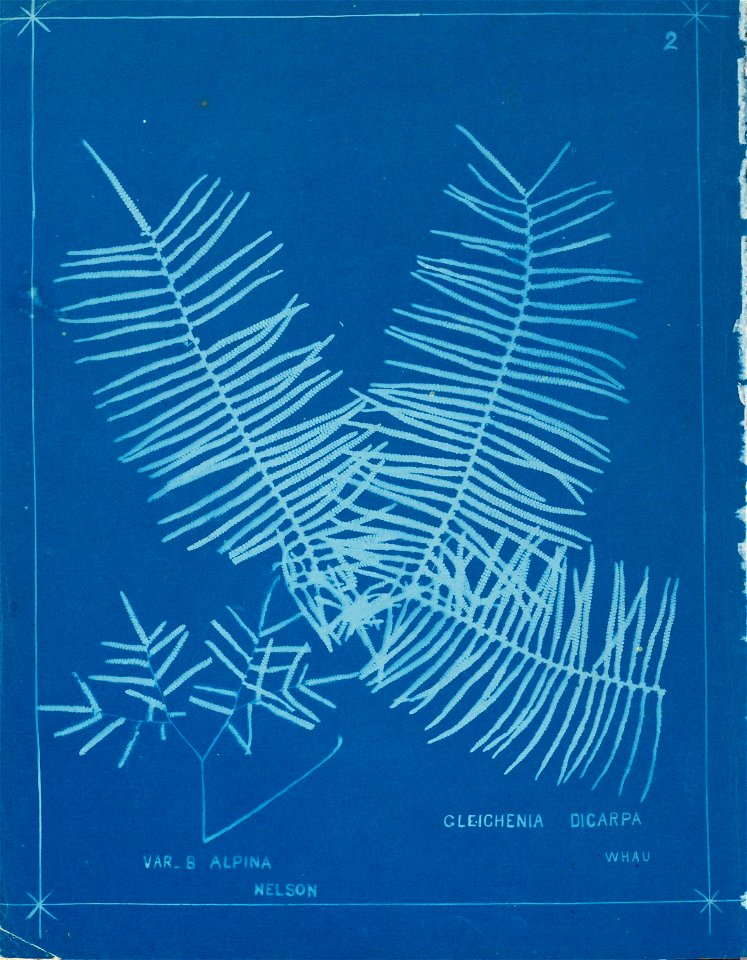 n7_w1150