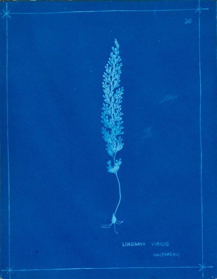 n36_w1150