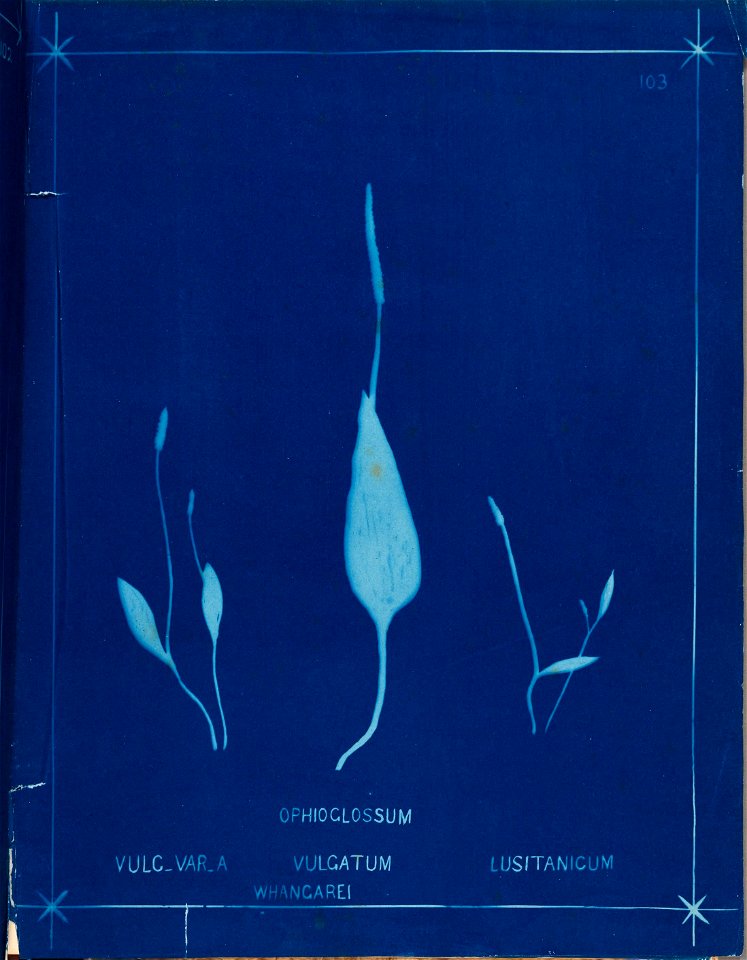 n112_w1150