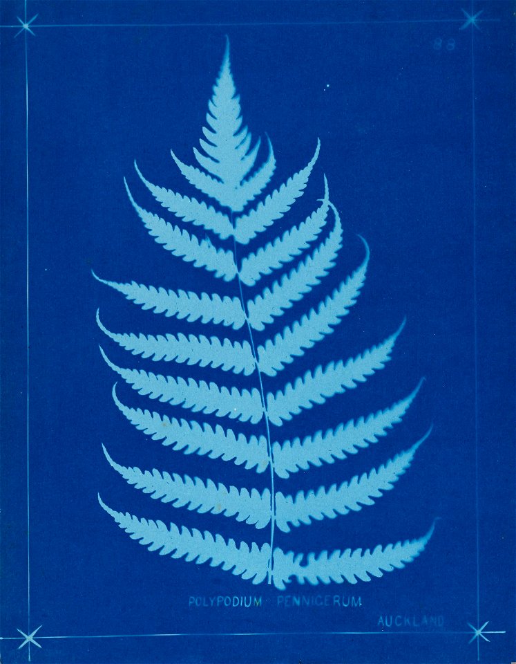n97_w1150