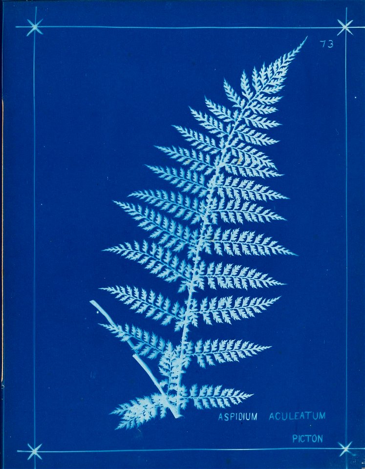 n82_w1150