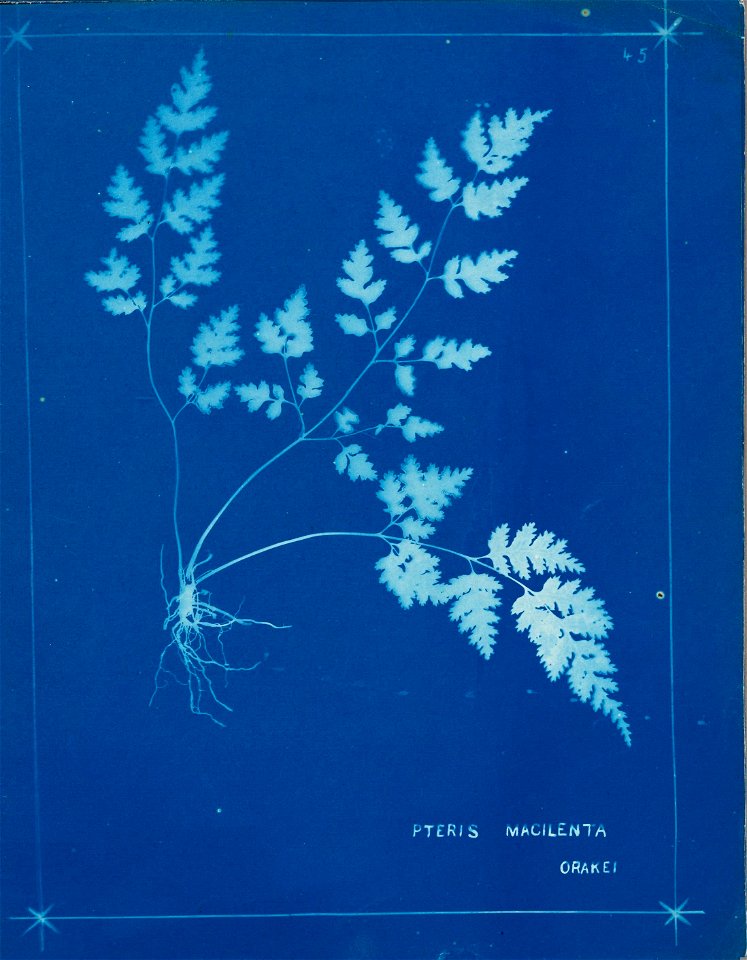 n50_w1150