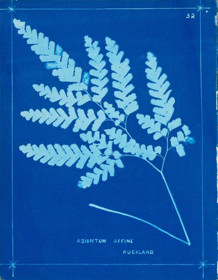 n35_w1150