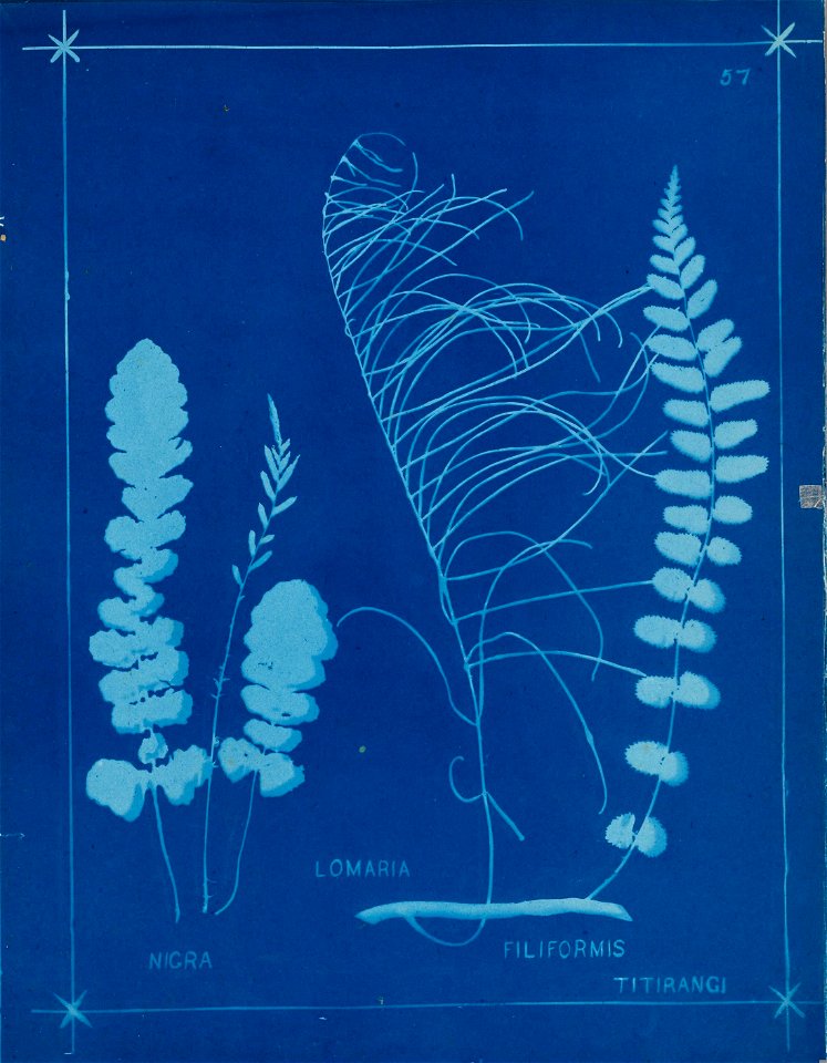 n66_w1150