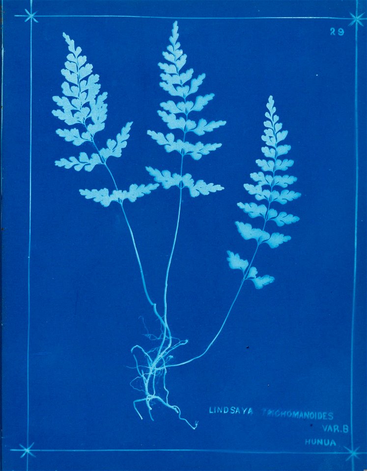 n34_w1150