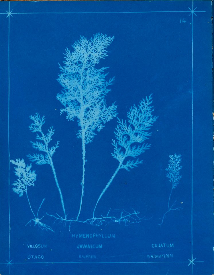 n19_w1150