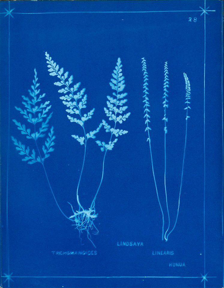 n33_w1150