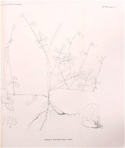 n49_w1150