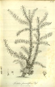 n240_w1150