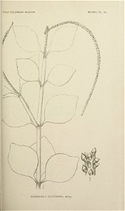 n38_w1150