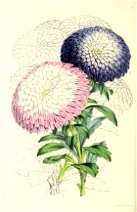 n151_w1150