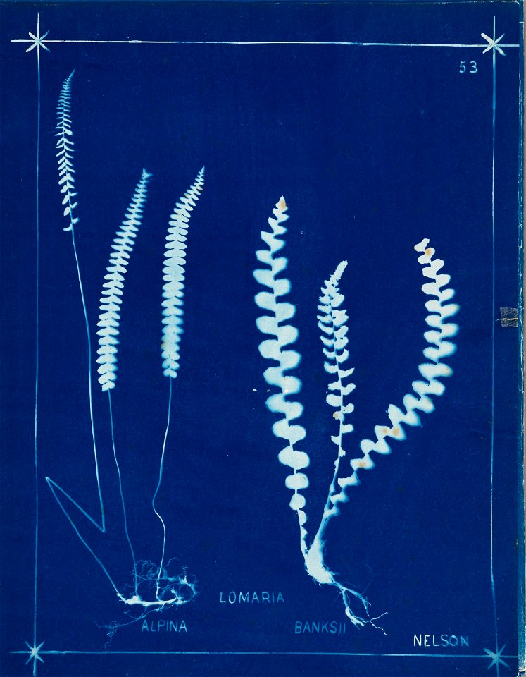 n62_w1150