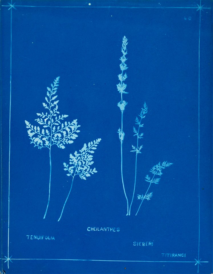 n45_w1150
