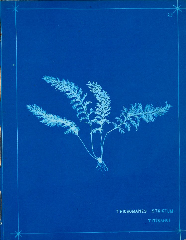 n30_w1150
