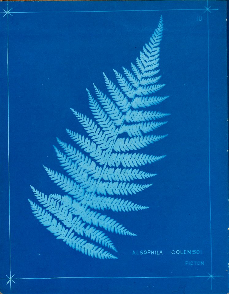 n15_w1150