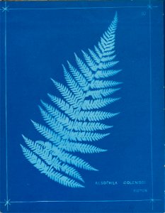 n15_w1150