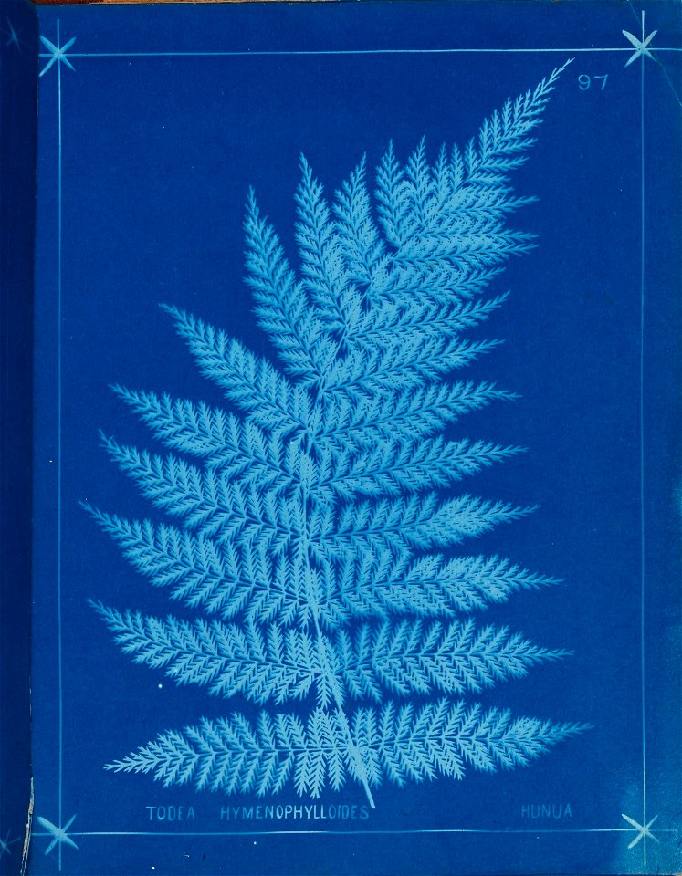 n106_w1150