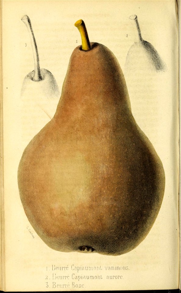 n137_w1150