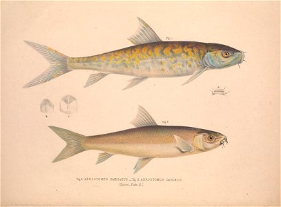 n59_w1150