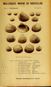 n152_w1150