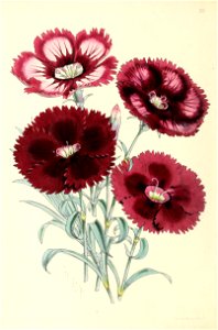 n117_w1150