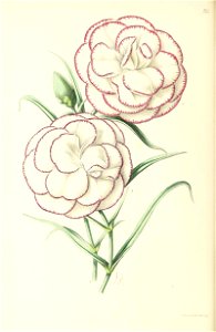 n67_w1150