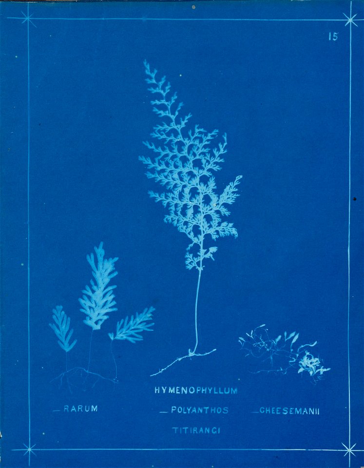 n20_w1150
