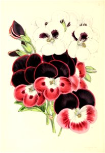 n89_w1150