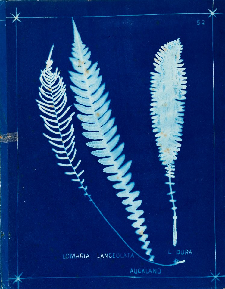 n61_w1150