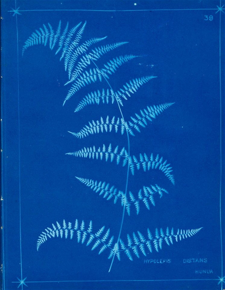 n44_w1150