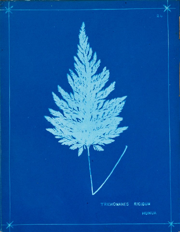 n29_w1150